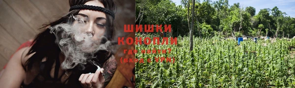 mdpv Осташков