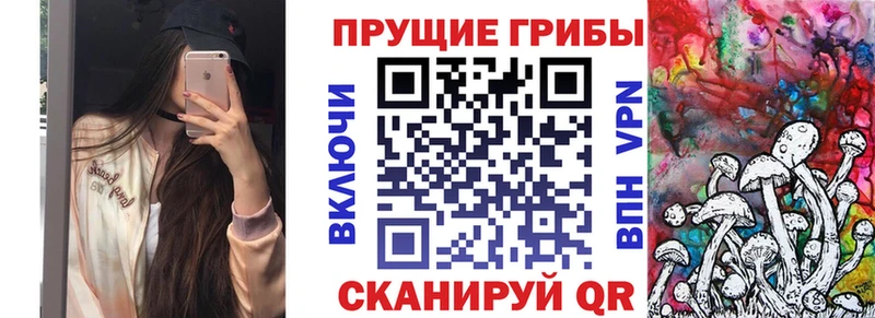 Галлюциногенные грибы GOLDEN TEACHER  blacksprut tor  darknet наркотические препараты  купить закладку  Кяхта 