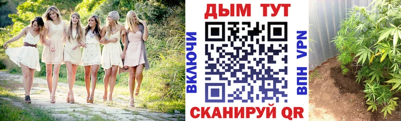 МАРИХУАНА индика  Кяхта 